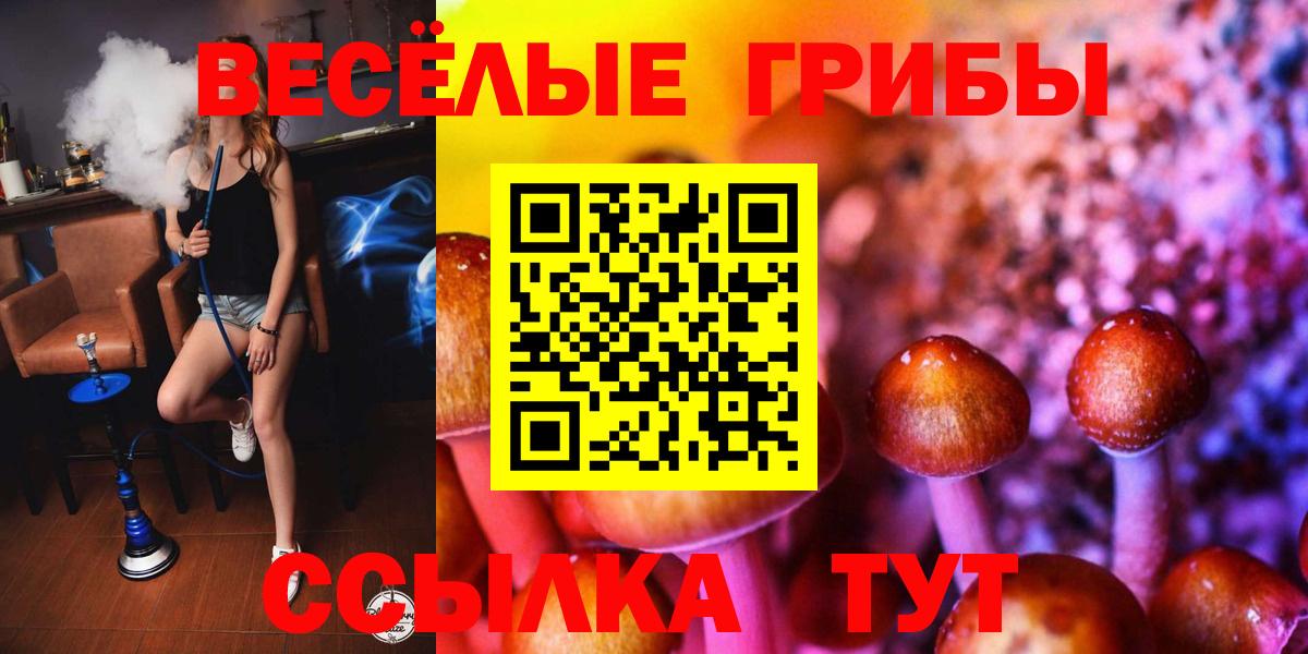 Псилоцибиновые грибы Cubensis  Вход с VPN  Великие Луки 